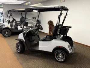 2026 Denago EV Scout 2 Passenger Golf Cart for Sale (2)