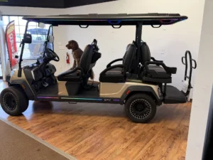 2026 Epic E60FX Champagne Golf Cart for Sale (4)