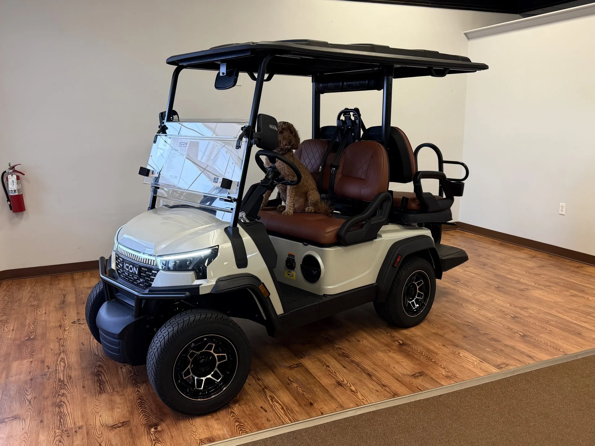 2026 ICON i40X Golf Cart for Sale (1)