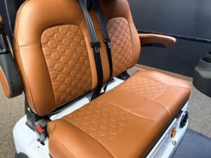 2026 PDG Greyson Golf Cart for Sale232 (3)