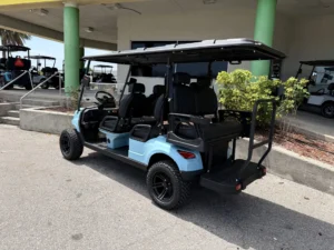 2026 Verdi Malibu S6 Golf Cart for Sale(Blue)111 (2)