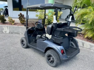 2019 E Z GO RXV Elite Lithium Steel Blue Golf Cart for Sale328 (2)