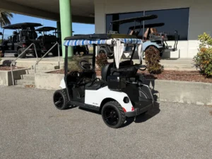2020 E Z GO RXV Elite Lithium Golf Cart for Sale 302 (2)