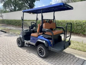 2025 Dach Falcon Golf Cart for Sale336 (2)