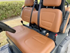 2025 Dach Falcon Golf Cart for Sale336 (3)