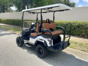2025 Dach Falcon Golf Cart for Sale339 (2)