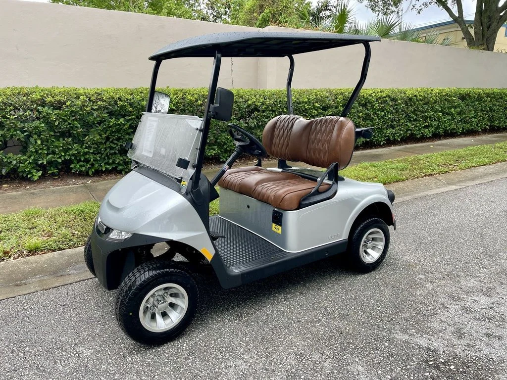 2026 E Z GO Freedom RXV ELiTE Lithium Platinum Golf Cart for Sale (1)