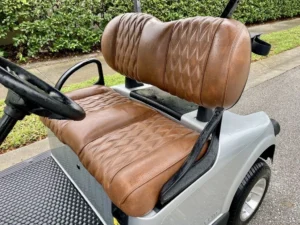 2026 E Z GO Freedom RXV ELiTE Lithium Platinum Golf Cart for Sale (2)